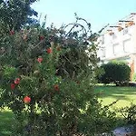 ホテル Sardegna Smeralda 3*
